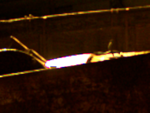 Mitchell scaling with smoother high-contrast edges than impulse scaling.